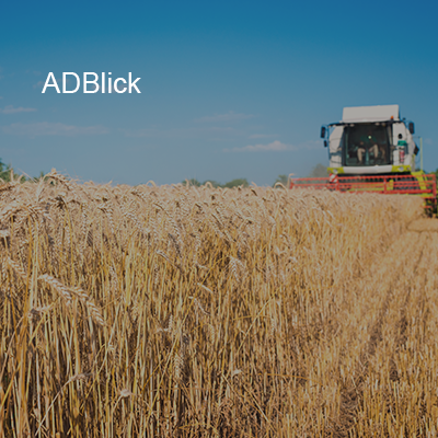 Adblick